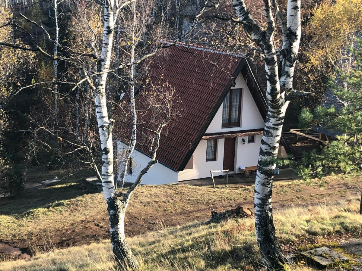 Villa Vikendica Stojanovic Mionica Exterior foto